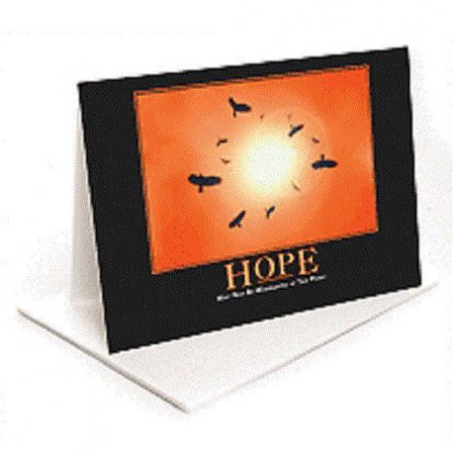 HOPE SUN BUZZARD HAWK FUNNY FAILING BUSINESS 13 NOTE CARD PACK XMAS GAG GIFT
