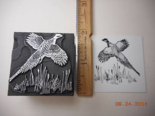 Letterpress Printing Printers Block, Ring Neck Pheasant Bird takes Flight