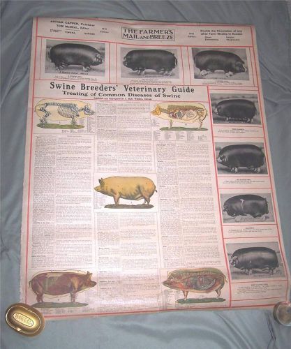 1916 FARMERS VETERINARY GUIDE TO TREATING COMMON DISEASES OF SWINE PIG 1916