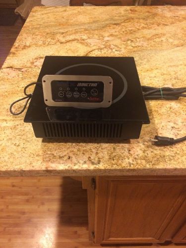 Spring usa built-in (hold-only) induction warmer for sale