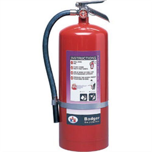 Badger™ extra 20 lb purple k fire extinguisher w/ wall hook for sale