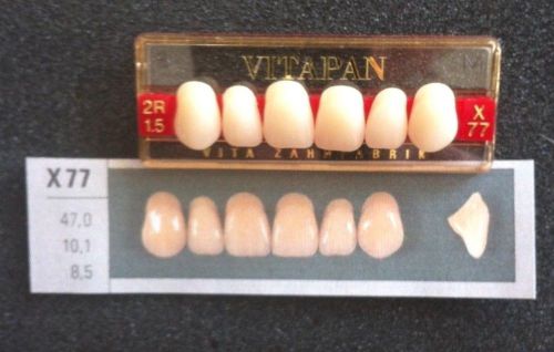 Vitapan Denture Teeth    X77    2R1.5