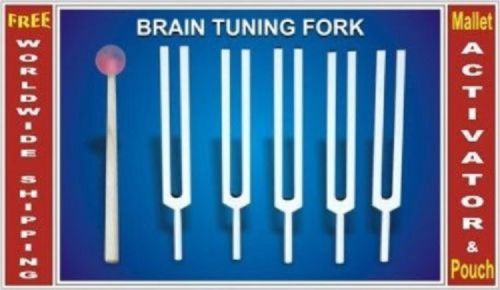 5 Tuning Forks for Brain Relaxation Energy Stimulation HLS EHS