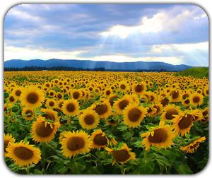 Sunflower Landscape Cloudy Light Gerden Fresh Joyful Mouse Pad Mat Soft Washable