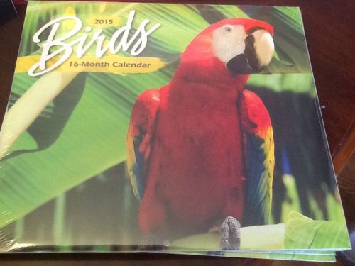 2015 16-Month Birds Calendar