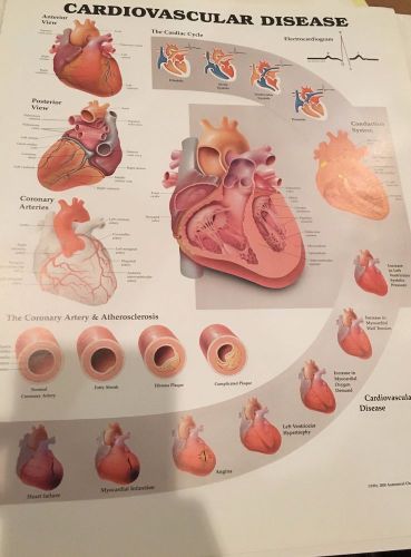 Cardiovascular Disease * Cardiology * Anatomy Poster * Anatomical Chart Company