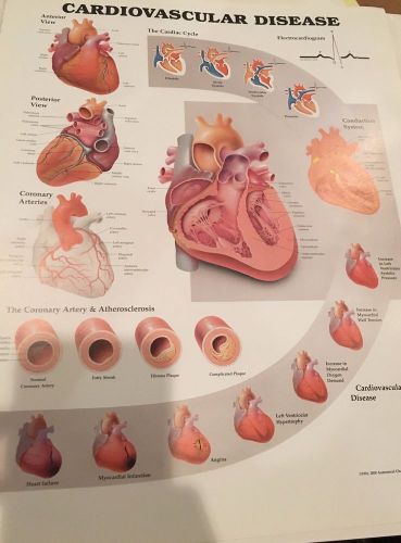 Cardiovascular Disease * Cardiology * Anatomy Poster * Anatomical Chart Company