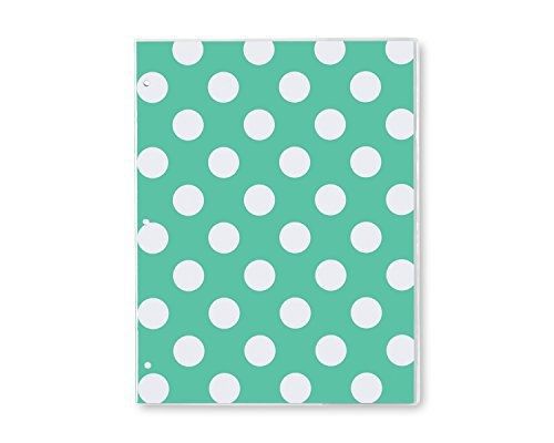 Blue Sky Penelope Academic Year 16/17 Monthly 8.5 x 11 Stapled Planner