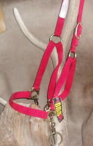 New Red Nylon Cow Control Halter With Chain, BMB.
