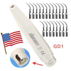 Dental Ultrasonic Piezo Scaler Handpiece Fit DTE SATELEC+ Scaling Tips GD1 USA