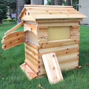 Golden Palace Auto Flow Beehive 7pcs Flow Frame Super Box Free Flow Frame (Outer