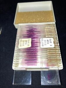 Vintage 1985 Medical Human Anatomy Microscope Slides Histology Pathology Of Bone