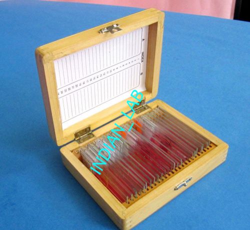 Microscope 25  Slides in New Wooden Microscope  box EXCELLENT  FREE  SHIPPING