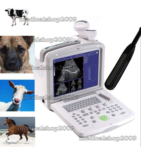 CE VET/Animal use,CE CMS600B-3 Portable Ultrasound Scanner+6.5MHZ Rectal Probe