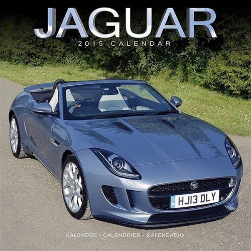 NEW 2015 Jaguar Wall Calendar by Avonside- Free Priority Shipping!