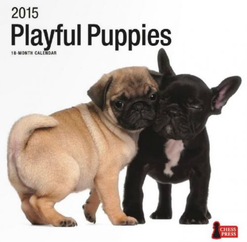 18-Month 2015 PLAYFUL PUPPIES Wall Calendar NEW &amp; SEALED Cute Dogs Animals