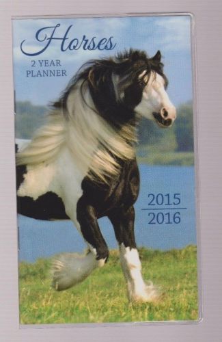 Horses 2 Year Planner 2015-2016 Vinyl Cover Studio 18 Calendar Organizer
