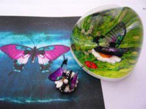 Page-up document holder liquid filled with pink swallowtail butterfly for sale