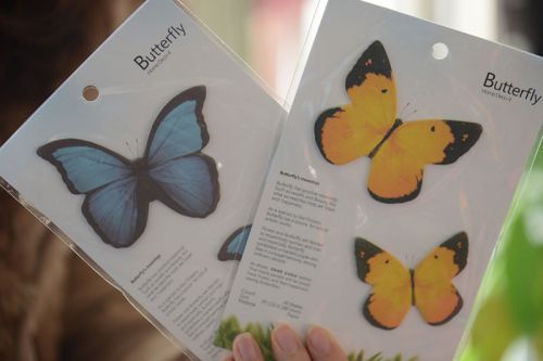 Free Shipping Set of 5 butterfly sticky notes post it memo pads paper mark