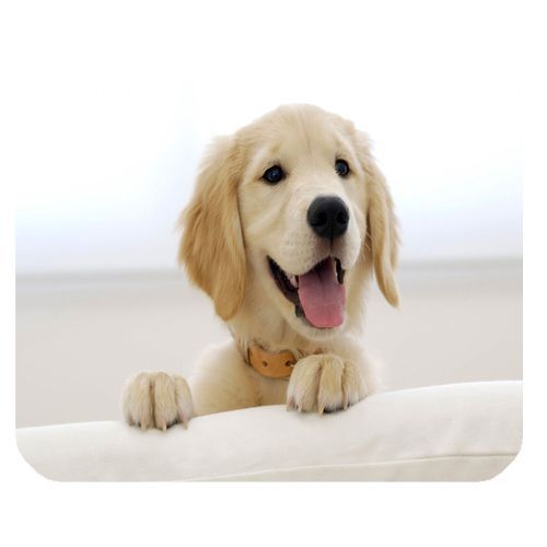 New anti slip mouse pad cute puppy design for sale