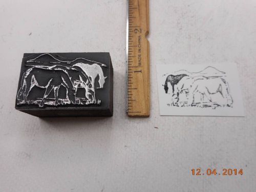 Printing Letterpress Printers Block, Horses grazing by Mountains