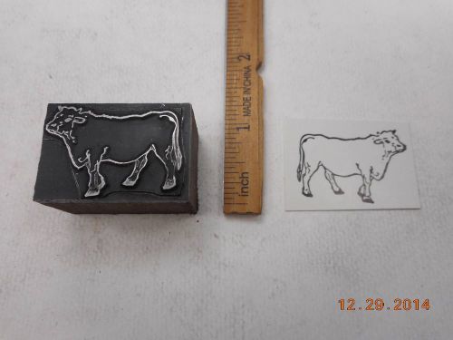 Printing Letterpress Printers Block, Farm Cattle Bull