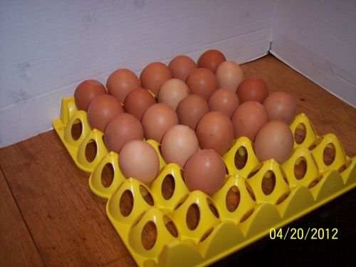 CHICKEN EGG TRAYS FOR INCUBATOR - HATCHING EGGS HOLDS30
