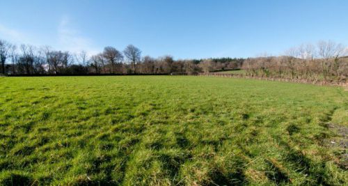 LAND Ashburton 3- 6 acre Field agricultural equestrian Smallholding Devon Totnes