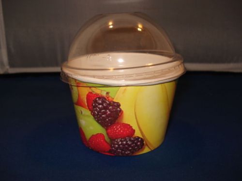 Lot of 200 8 Ounce Size Ice Cream Food Containers with Lids Free Shipping