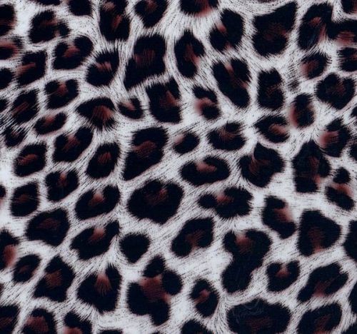 HYDROGRAPHIC WATER TRANSFER HYDRO Printing FILM GRAPHIC Print Cheetah animal dip