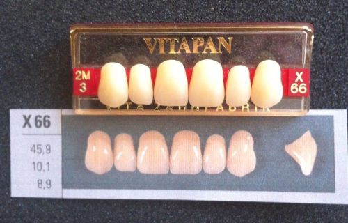 Vitapan Denture Teeth    X66    2M3