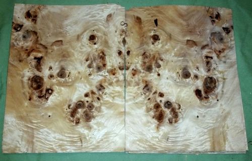 Mappa burl 10.5 x 8.25 wood veneer quilted (#v1676) for sale