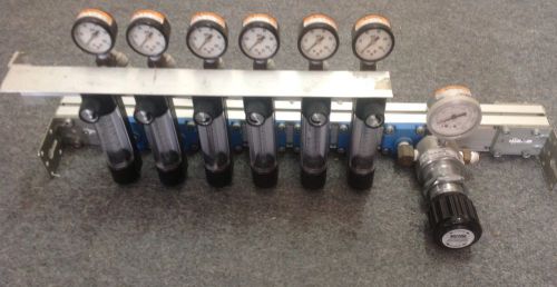Pneumatic O2 Manifold With TESEO Channel, Flowmeters / Rotameters And Regulator