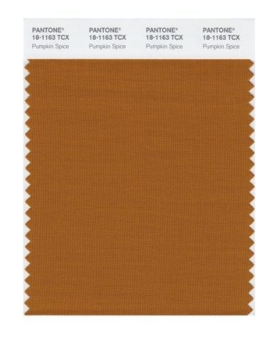 Pantone 18-1163 tcx smart color swatch card, pumpkin spice for sale