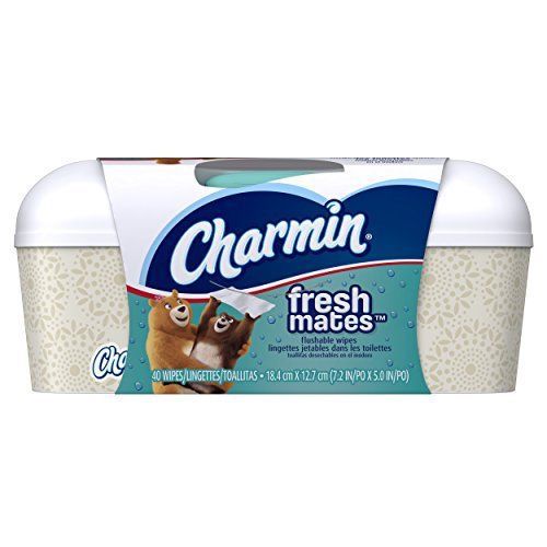 Charmin freshmates flushable wipes, 40 count tub pack of 12&#034; for sale