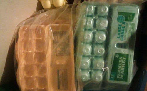 Lot of 40 clean Egg multi color container dozen size foam cartons plant starters