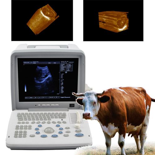 2014 Veterinary vet Full Digital Portable Ultrasound Scanner Rectal 3D Software