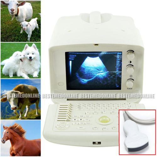 Veterinary VET Ultrasound machine scanner W 3.5mhz Convex PROBE w 3D software