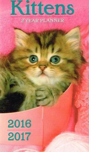 2-Year 2016-2017 KITTENS Pocket Planner NEW Home Organizer Calendar Cats Pets