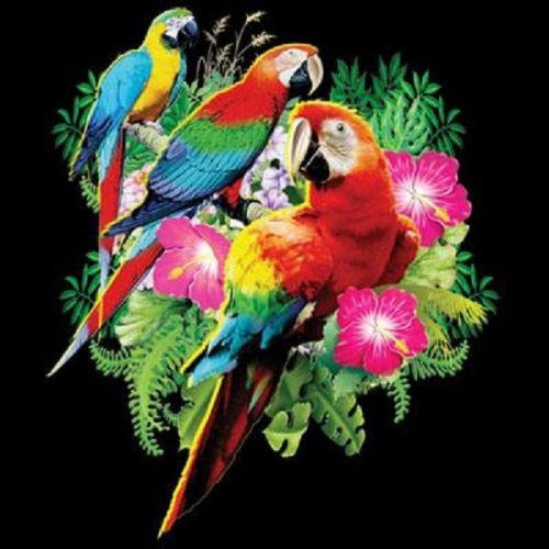 Parrot Jungle Bird HEAT PRESS TRANSFER for T Shirt Sweatshirt Tote Fabric 210f