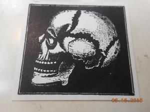 Letterpress Printing Block, Unsual Side View Human Skull, Medicall Illustration