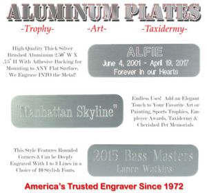 3/4&#034; X 2 1/2&#034; Custom Engraved Aluminum ID Name Plates Art Trophy Taxidermy Gifts