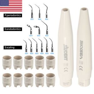 Dental Ultrasonic Scaler Handpiece / 5X Tips Fit DTE SATELEC Multi -PZO