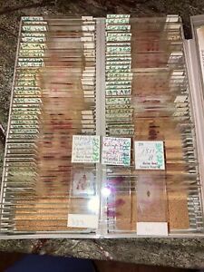 Rare 70’s Vintage Human Anatomy Microscope Slides Histopathology Skin Derm Path