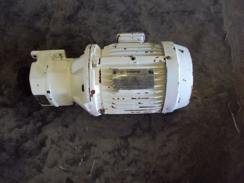 Sterling electric shd302ac3.616 motor for sale
