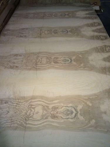 Wood veneer olive ash burl 91x49 1pcs total 10mil paper backed  &#034;exotic&#034;0854.12 for sale