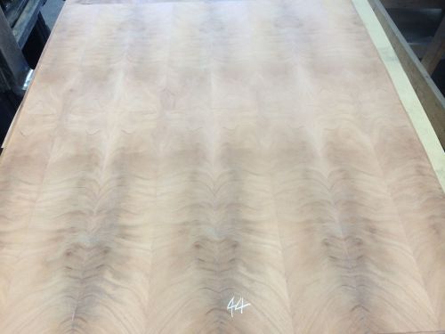 Wood veneer crotch mahogany 48x55 1pcs total 20mil paper backed &#034;exotic&#034; crlm44 for sale