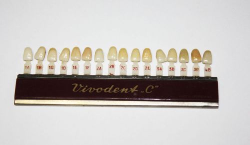 Vivodent C Porcelain Teeth Liechtenstein