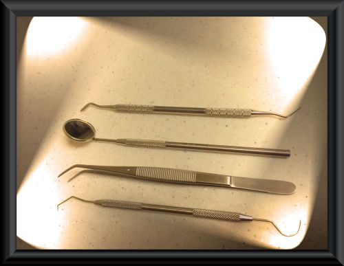 4 pc  dental tartar calculus plaque remover tooth scraper, mirror,scaler set for sale