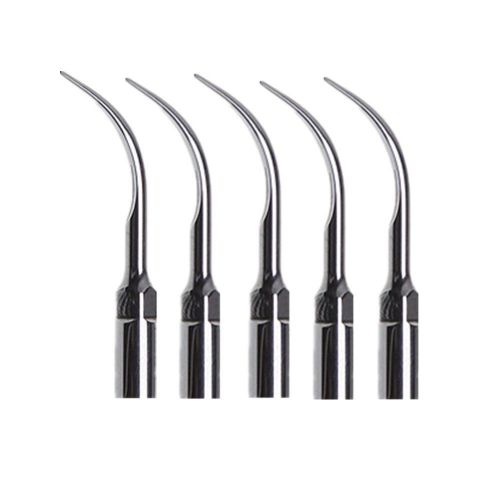 5 pc dental ultrasonic scaling tips fit fpr ems woodpecker scaler silver g5 for sale